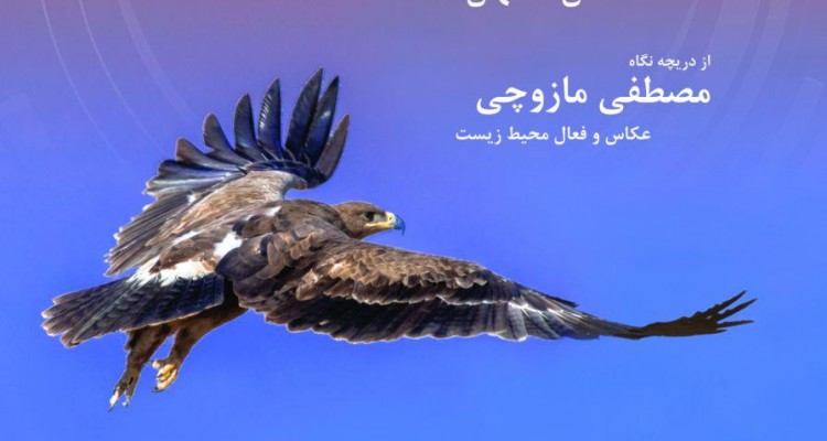 گالری هتل نگارستان میزبان نمایشگاه عکس طبیعت و حیات وحش